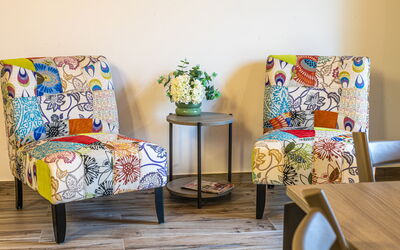 Zena Suite: Mueble, Diseño De Interiores, Amarillo, Piso, Suelo, Textil, Silla, Marrón, Sala, Naranja