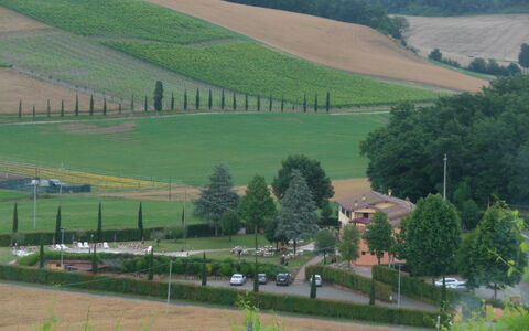 Tenuta Borgo al Sole: Área Rural, Plantación, Campo, Agricultura, Pueblo, Granja, Paisajismo, Hojas Perennes