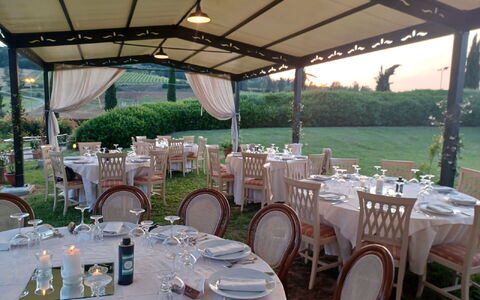 Tenuta Borgo al Sole: Evento, Mueble, Jardín, Césped, Manteles, Pabellón, Estructura Al Aire Libre, Yarda, Sombra, Patio Interior