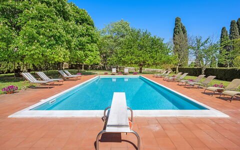 Medieval Castle Living: Vineyards, Swimming Pool &: Arbusto, Jardín, Piscina, Inmuebles, Hacienda, Sombra, Paisajismo, Césped, Villa, Recurso