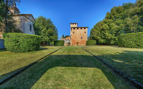Medieval Castle Living: Vineyards, Swimming Pool &: Arbusto, Jardín, Inmuebles, Césped, Cobertura, Paisajismo, Castillo, Parque, Hojas Perennes, Mansión