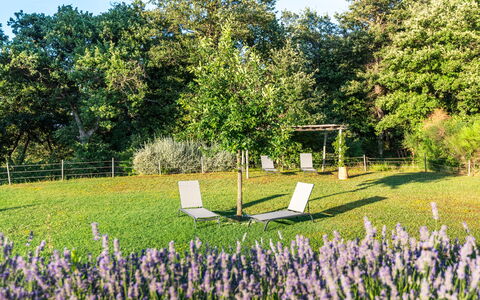 Cignella Resort: Hierba, Arbusto, Jardín, Césped, Primavera, Cobertura Del Suelo, Prado, Parque, Sombra