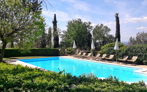 Podere Peteglia: Piscina, Arbusto, Recurso, Jardín, Paisajismo, Mueble Para Exteriores, Hacienda, Inmuebles, Eco Hotel, Sombra