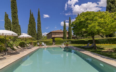Podere Peteglia: Arbusto, Jardín, Piscina, Cobertura, Paisajismo, Inmuebles, Hacienda, Eco Hotel, Villa, Patio