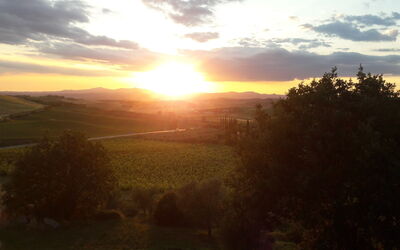 Podere Peteglia