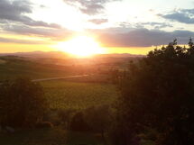 Podere Peteglia