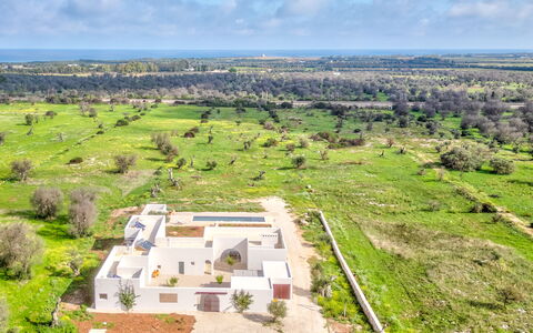 Terracorte Villa: Paisaje, El Terreno Del Lote, Casa, Llanura, Inmuebles, Paisajismo, Plantación, Pueblo, Casa De Campo, Hacienda