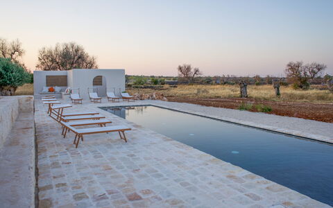 Terracorte Villa: Material Compuesto, Piscina, Reflexión, Piscina De Reflejo, Fuente De Agua, Mueble Para Exteriores