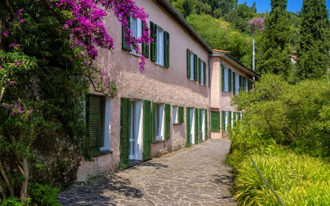Portofino: Arbusto, Primavera, Jardín, Pasarela