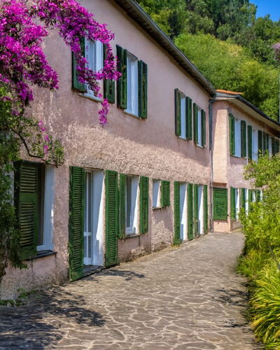 Portofino: Arbusto, Primavera, Jardín, Pasarela