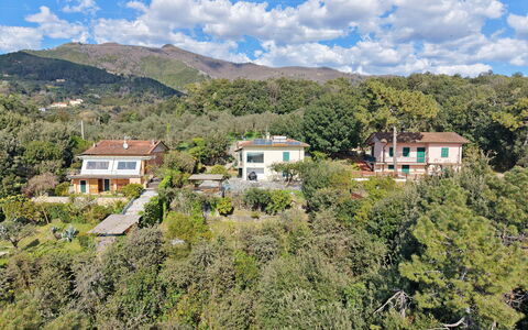 Villa Il Giardino: Vegetación, Área Rural, Colina, Paisaje, Barrio Residencial, Casa, Tierras Altas, Planta De La Comunidad, Casa, Hill Station