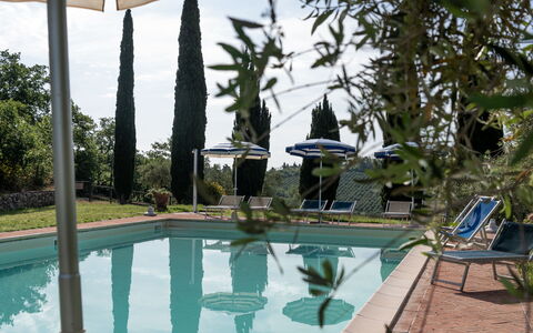 Podere le Lune with Pool, San Gimignano: Piscina, Recurso, Mueble Para Exteriores, Ocio, Eco Hotel, Maceta, Sunlounger, Sombra, Hacienda, Paisajismo