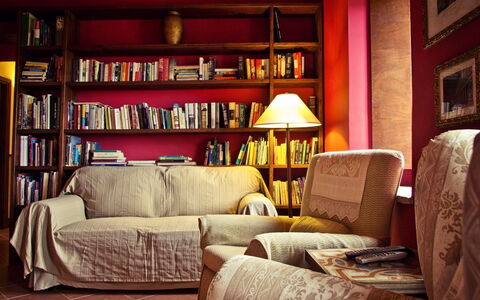 Selvamica: Mueble, Diseño De Interiores, Librero, Piso, Rojo, Estantería, Madera, Estante, Suelo, Sala