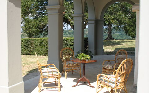 Martini: Mueble, Mueble Para Exteriores, Silla, Columna, Sombra, Jardín, Maceta, Mesa Al Aire Libre, Porche