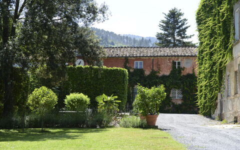 Fattoria: Arbusto, Barrio Residencial, Casa, Inmuebles, Jardín, Hacienda, Cobertura, Paisajismo, Patio