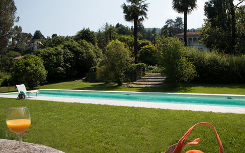 Romantica 16: Piscina, Arbusto, Ocio, Jardín, Césped, Recurso, Hacienda, Paisajismo, Yarda, Sombra