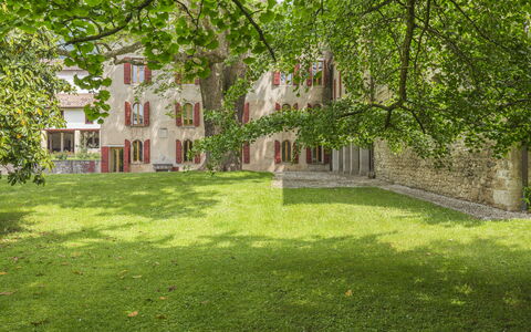 Jasmine Villa: Arbusto, Jardín, Césped, Primavera, Inmuebles, Yarda, Paisajismo, Hacienda, Patio Interior, Parque