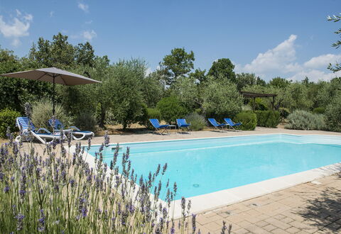 Villa El Olivar: Piscina, Jardín, Inmuebles, Paisajismo, Mueble Para Exteriores, Hacienda, Recurso, Villa, Patio Interior, Casa De Campo