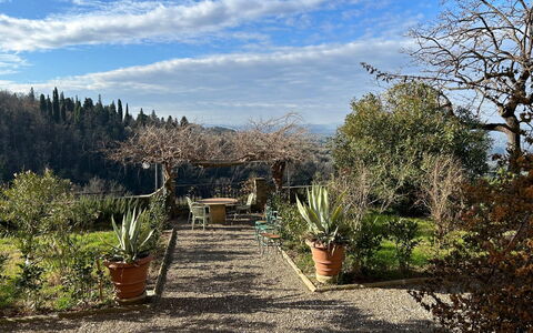 Villa Il Casalino, Florentine Hills with Pool: Vegetación, Arbusto, Paisaje, Planta De La Comunidad, Maceta, Jardín, Paisajismo, Jardín Botánico, Pasarela