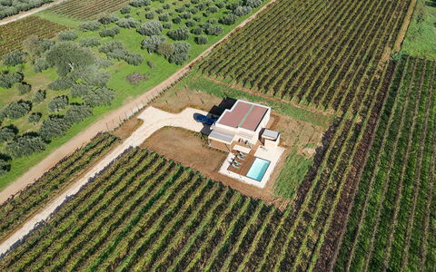 Mami: Plantación, Llanura, El Terreno Del Lote, Agricultura, Campo, Vista Panorámica, Inmuebles, Paisajismo, Fotografía Aérea, Jardín