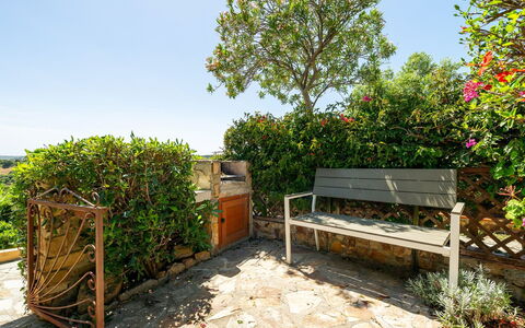 Casetta nel Blu: Arbusto, Jardín, Maceta, Planta De La Comunidad, Mueble, Primavera, Mueble Para Exteriores, Banco Al Aire Libre, Paisajismo