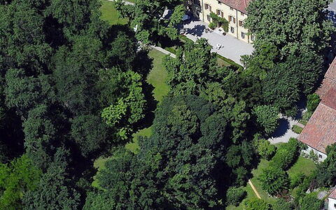 Villa Castellani: Árbol, Barrio Residencial, Casa, Arbusto, Casa, El Terreno Del Lote, Inmuebles, Asentamientos Humanos, Césped, Mansión