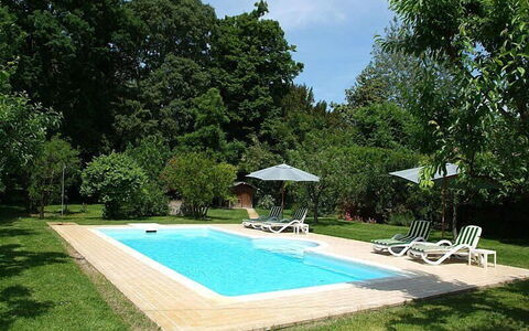 Villa Castellani: Piscina, Jardín, Recurso, Sombra, Patio Interior, Paisajismo, Césped, Ocio, Eco Hotel