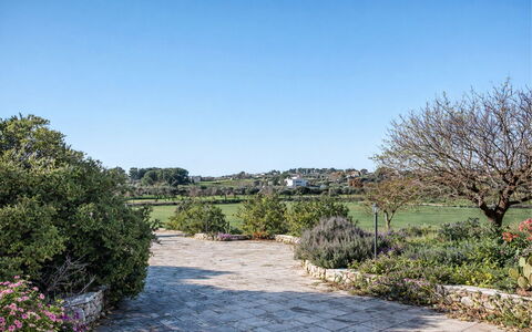 Trulli al Verde Viburno: Arbusto, Jardín, Planta De La Comunidad, Cobertura Del Suelo, Paisajismo, Plantas Leñosas, Jardín Botánico, Sombra, Cobertura