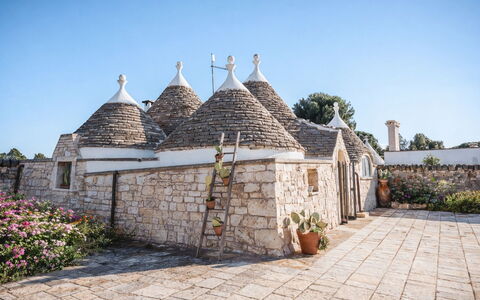 Trulli al Verde Viburno: Hazme, Hazme, Losa