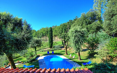 Villa Ulivacci: Azul, Jardín, Piscina, Césped, Sombra, Patio Interior, Paisajismo, Parque, Yarda, Mueble Para Exteriores