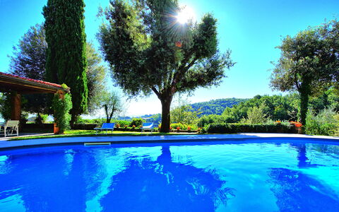 Villa Ulivacci: Azul, Piscina, Jardín, Paisajismo, Ocio, Eco Hotel, Recurso, Sombra, Hacienda, Patio Interior