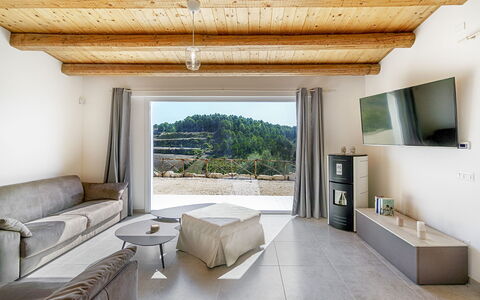 Villa Belvedere: Mueble, Silla, Sofá, Madera Dura, Cocina Y Comedor Mesa, Sala, Mesa De Café, Suelos De Madera, Sofa Cama