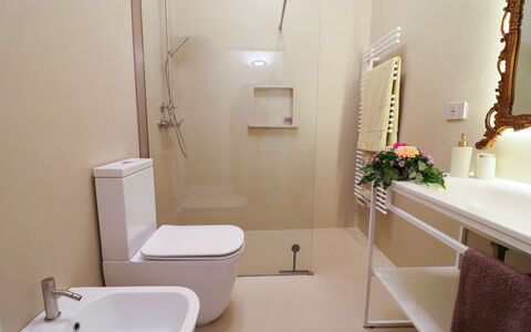 Bacchus: Historic Charming Home: Baño, Asiento Del Baño, Arreglo De Tubería, Baño, Piso, Pared, Suelo, Diseño De Interiores, Lavabo Del Baño, Lavabo