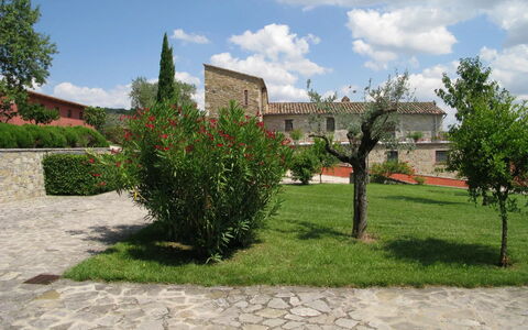 Agriturismo le Case Rosse di Montebuono: Hierba, Arbusto, Paisaje, El Terreno Del Lote, Jardín, Césped, Paisajismo, Yarda, Plantación