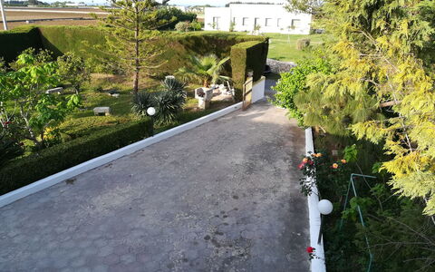 Villa Maddalena: Arbusto, Jardín, Pasarela, Paisajismo, Entrada De Coches, Hojas Perennes, Cobertura