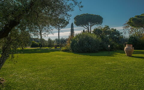 Villa Bolgheri Vermentino Castagneto Carducci: Hierba, Naturaleza, Hoja, Jardín, Paisaje, Arbusto, El Terreno Del Lote, El Maletero, Césped, Paisajismo