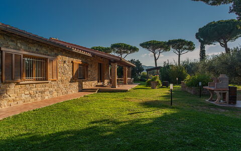 Villa Bolgheri Vermentino Castagneto Carducci: Madera, Casa, Cabaña, Casa, Techo, Inmuebles, El Terreno Del Lote, Área Rural, Casa De Campo, Jardín