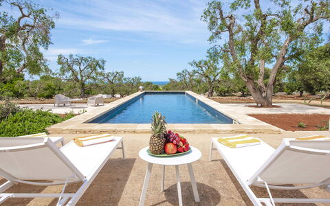 Villa Il Guaceto: Mueble, Piscina, Mueble Para Exteriores, Recurso, Silla, Sombra, Sunlounger, Villa, Hotel