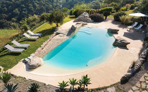 Villa Milo: Azul, Agua, Piscina, Recurso, Ocio, Mueble Para Exteriores, Vacaciones, Zona Tropical, Eco Hotel, Paraguas