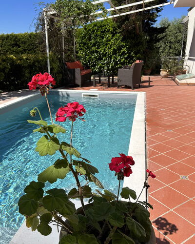 Villa Ava: Maceta, Piscina, Jardín, Sombra, Planta De Casa, Paisajismo, Patio Interior, Yarda, Fuente De Agua
