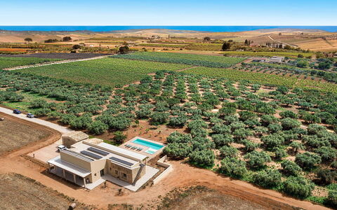 Villa Clemente: Paisaje, Llanura, El Terreno Del Lote, Fotografía Aérea, Vista Panorámica, Plantación, Campo, Inmuebles, Agricultura, Granja