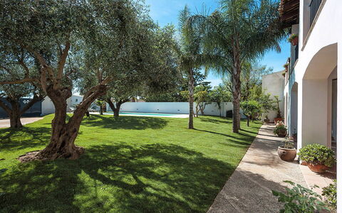 Casa Kita: Jardín, Sombra, Césped, Paisajismo, Inmuebles, Plantas Leñosas, Patio Interior, Yarda, Hacienda, Patio