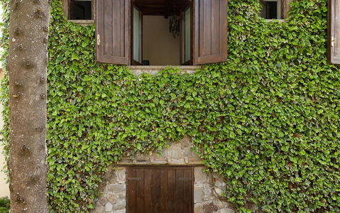 The Sea Farmhouse: Pared, Verde, Arbusto, Primavera, Jardín, Pared De Piedra, Sombra, Cobertura, Inicio De La Puerta