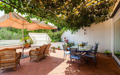 Casa Dorothea 3: Mueble, Maceta, Mesa, Silla, Mueble Para Exteriores, Planta De Casa, Mesa Al Aire Libre, Jardín, Cocina Y Comedor Mesa, Patio