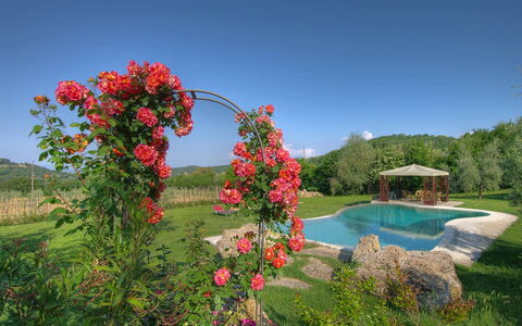 Villa Incanto: Flor, Arbusto, Jardín, Pétalo, Primavera, Planta Floreciendo, Familia De Las Rosáceas, Rosas De Jardín, Paisajismo, Plantación