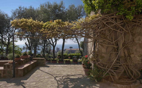 Villa Torre del Sole: Primavera, Maceta, Sombra, Jardín, Losa, Paisajismo, Planta De Casa, Pasarela