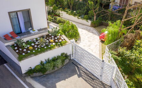 Suite Agave: Arbusto, Jardín, Diseño Urbano, Paisajismo, Yarda, Patio Interior, Balcón, Patio, Pasarela