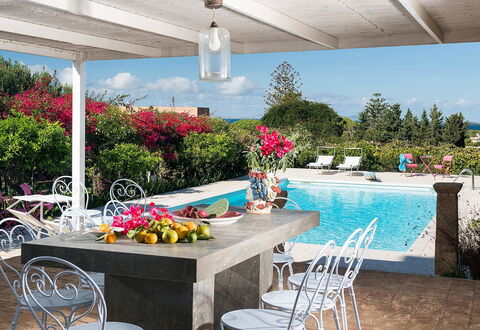 The Flower Garden: Mueble, Mesa, Maceta, Mueble Para Exteriores, Silla, Recurso, Mesa Al Aire Libre, Jardín, Piscina