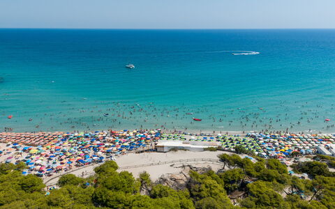 Azzurra: Azul, Cuerpo De Agua, Playa, Mar, Costa, Costeras Y Los Accidentes Geográficos Oceánico, Verano, Recreación, Oceano, Apuntalar