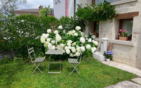 La Casetta dei Palù, Valdobbiadene: Flor, Arbusto, Jardín, Primavera, Planta Floreciendo, Patio Interior, Paisajismo, Maceta, Yarda, Césped